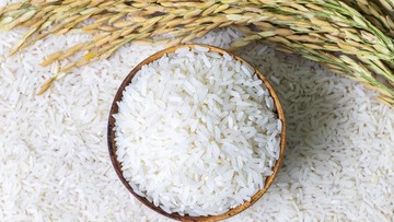 Tak Ada Impor Beras, Setoran Bea Masuk Turun 5,8%
