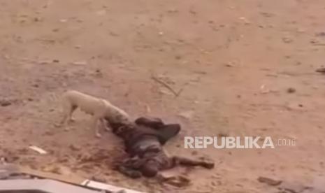 Tragis, Jenazah Korban Serangan Israel di Kompleks RS Indonesia Gaza Dimakan Anjing