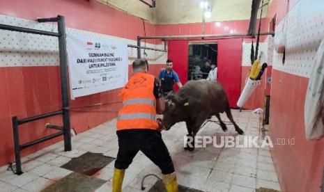 Lazisnu Salurkan Daging Kurban untuk 1.400 Keluarga Palestina